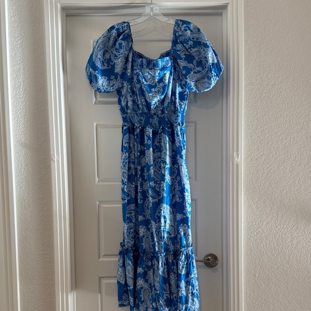 Absolutely Famous Blue and White Maxi Dress